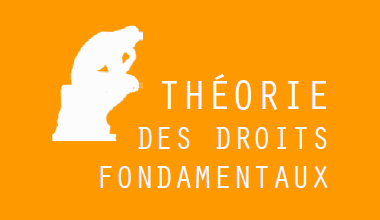 Théorie des droits fondamentaux