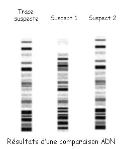 source: http://www.police-scientifique.com/